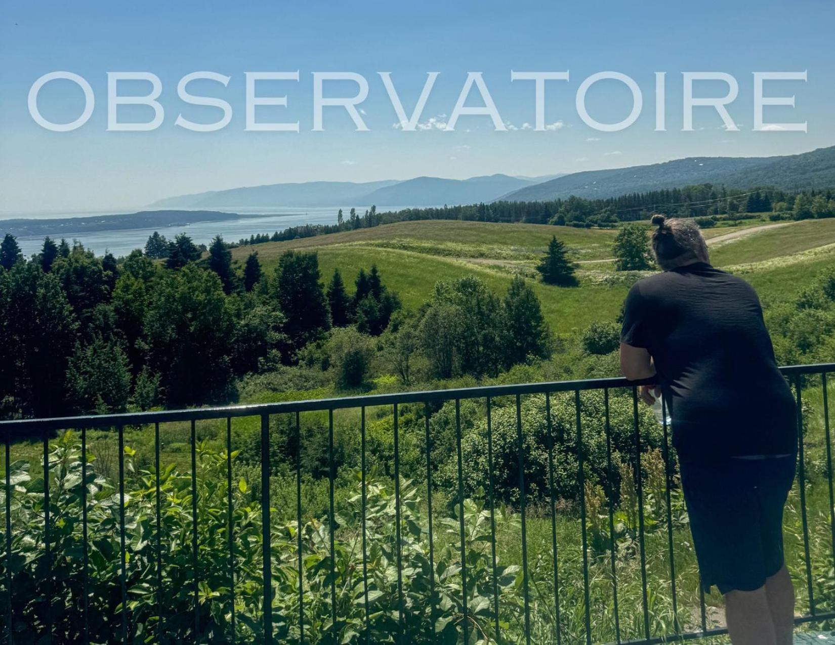 Auberge De Nos Aieux Les Éboulements Eksteriør billede